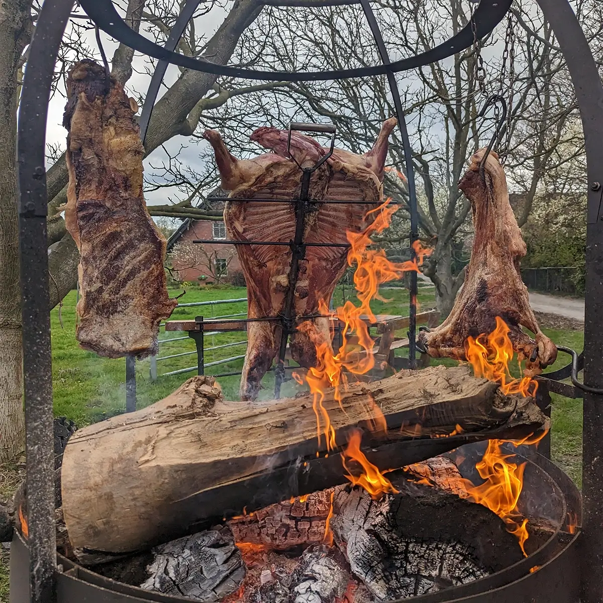 Ein ganzes Lamm oder eine Ziege (an einem Kreuz gegrillt)