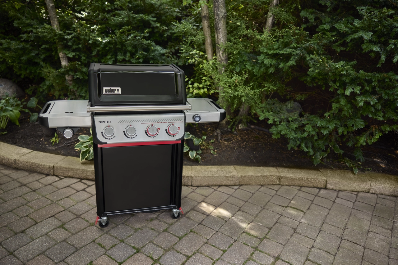 Grill im Garten