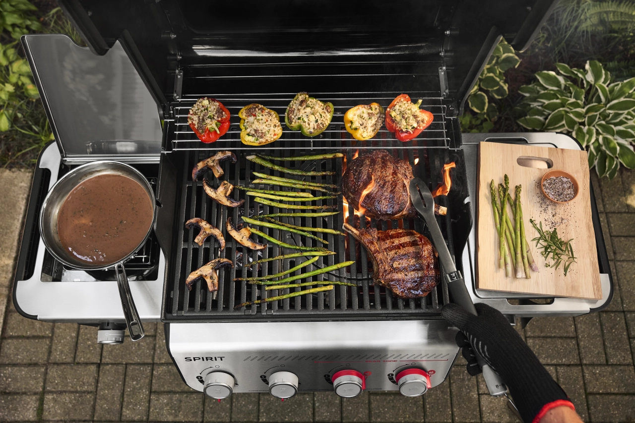 GBS Gussrost mit Fleisch
