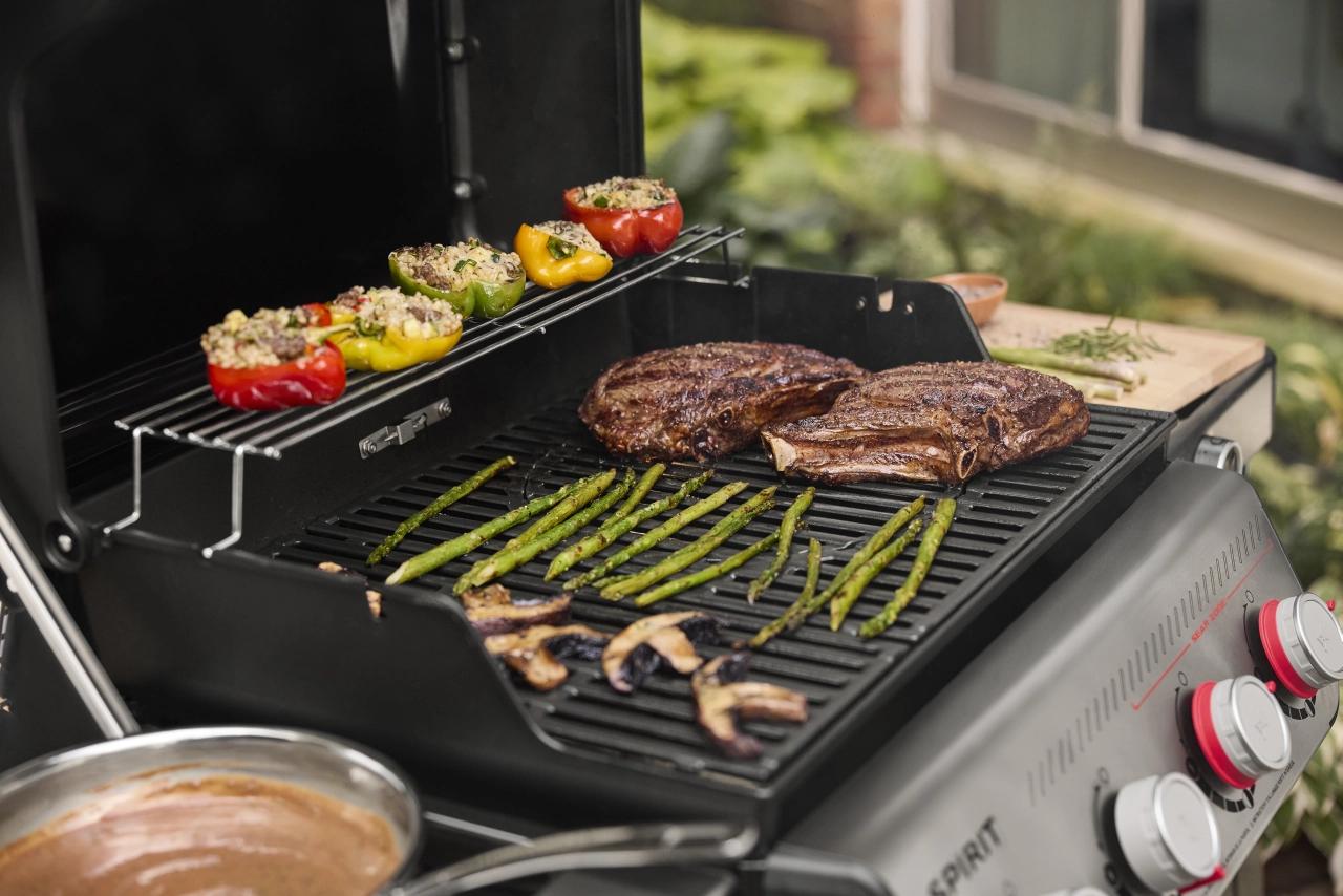 GBS Gussrost mit Fleisch