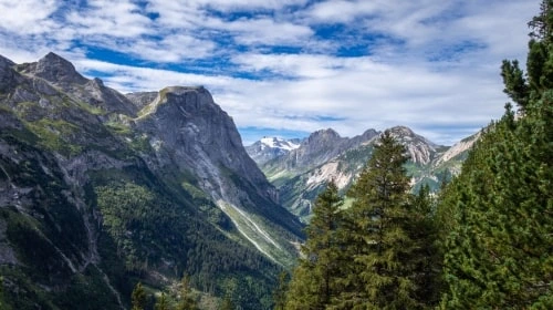 Französische Alpen, Bäume, Landschaft