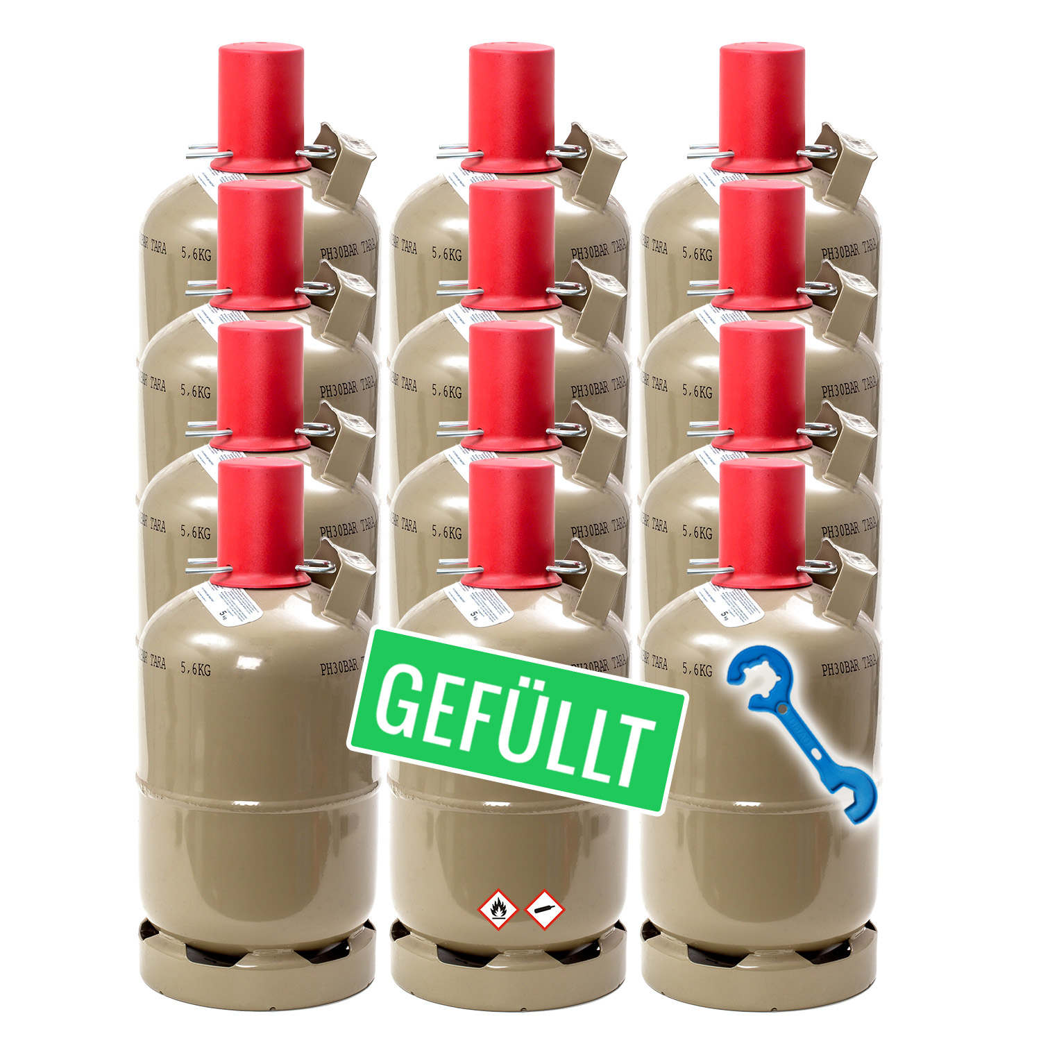 12 x 5kg Propangasflaschen gefüllt  Ulith® Lecksuchspray 400 ml  