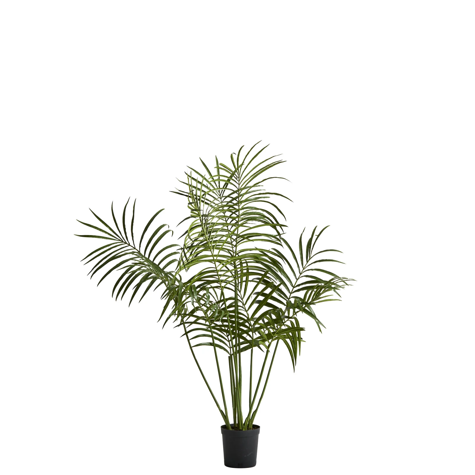Lene Bjerre Flora Kentia Palme Kunstpflanze grün 60x60x130 cm