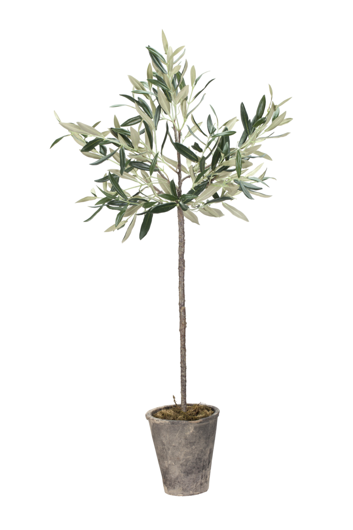 Lene Bjerre Flora Olivenbaum Kunstpflanze 13x13x73 cm