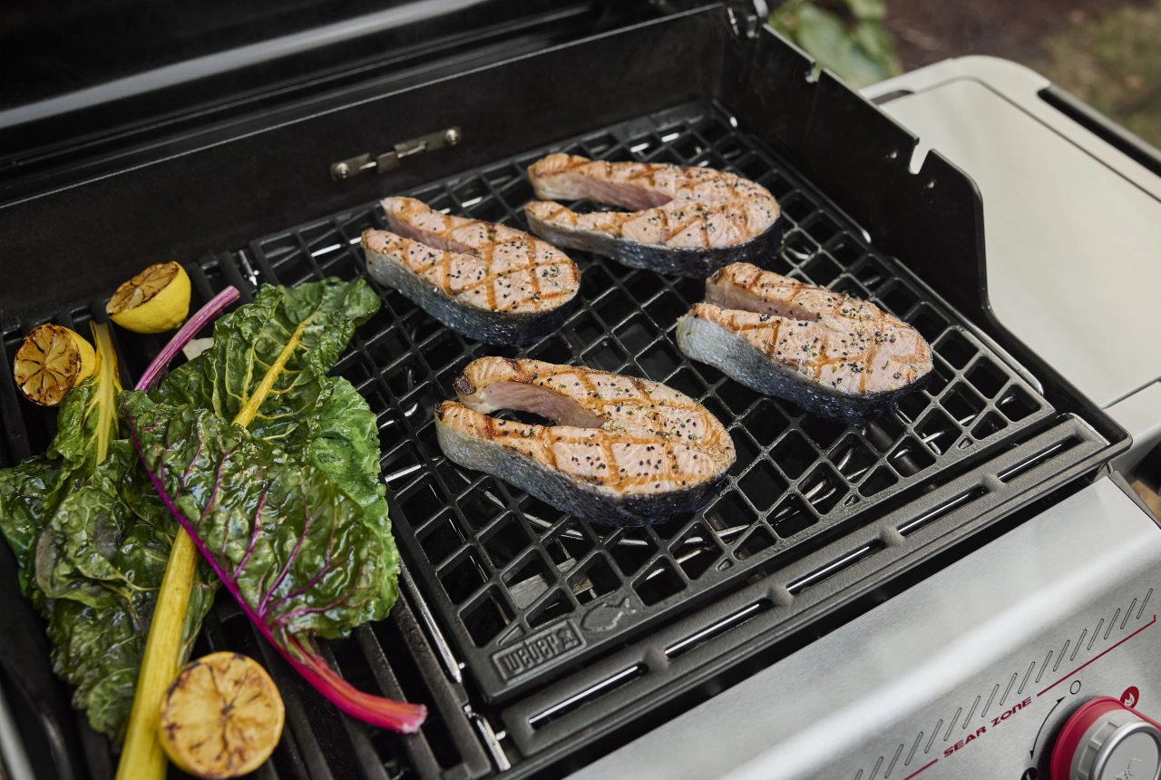 GBS Gussrost mit Fleisch