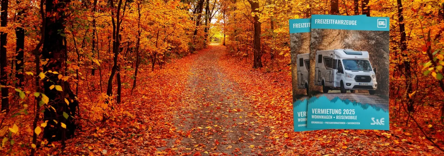 Herbstlicher wald mit dem Vermietungsprospekt