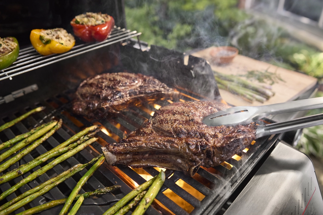 GBS Gussrost mit Fleisch