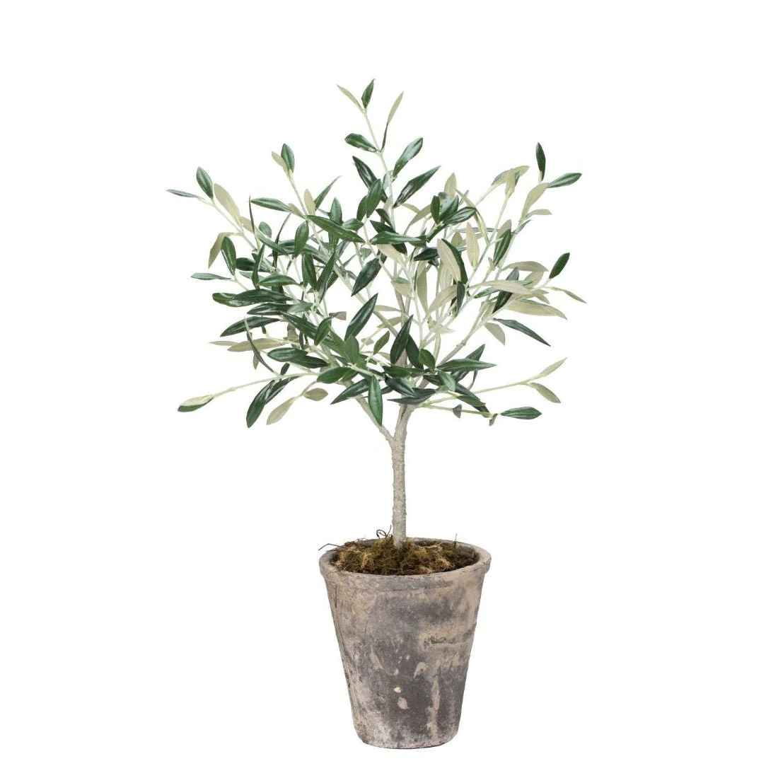 Lene Bjerre Flora Olivenbaum Kunstpflanze 13x13x44 cm