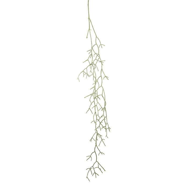 Dekopflanze Rhipsalis hängend Grün H134 cm 