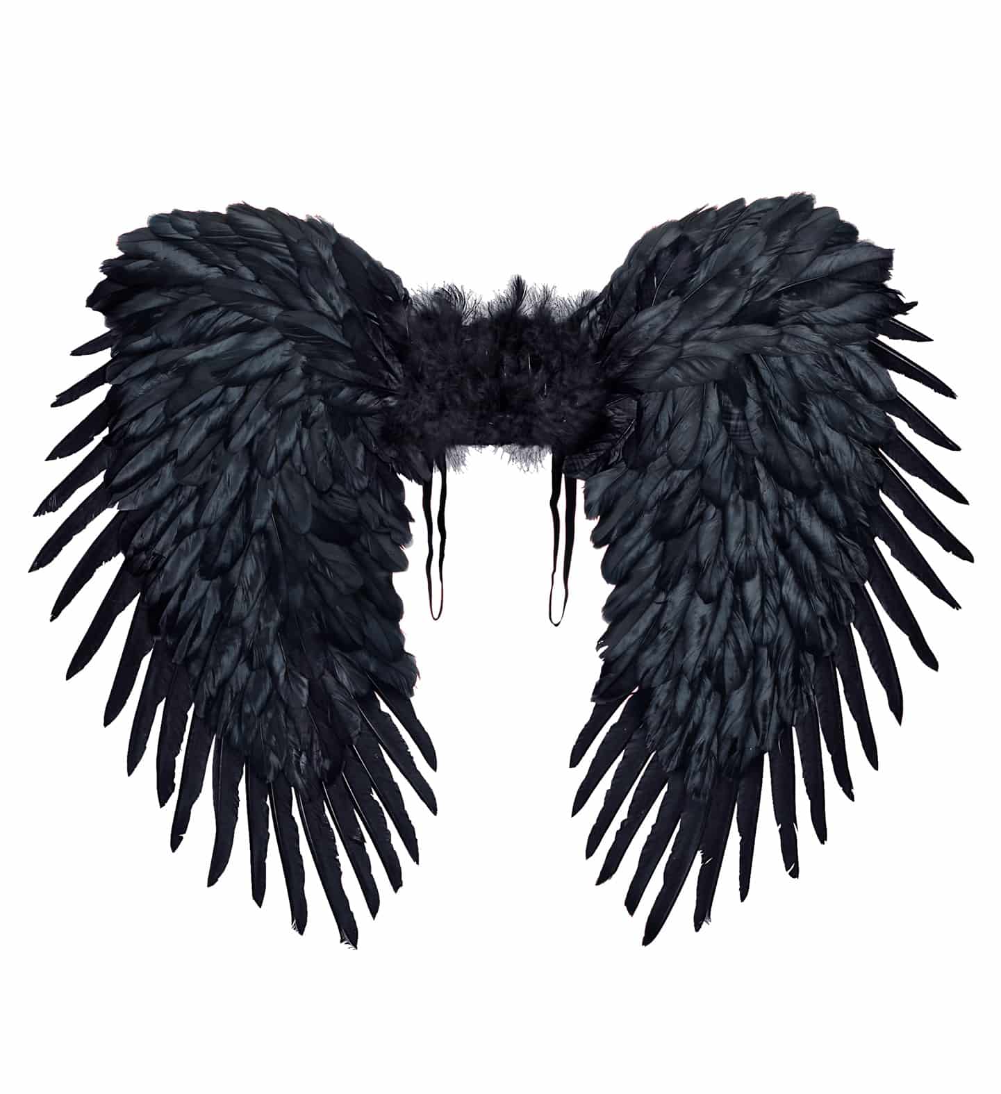 Schwarze Federflügel  Größe: 80 x 65 cm