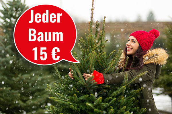 Weihnachtsbaumverkauf jeder Baum 15€