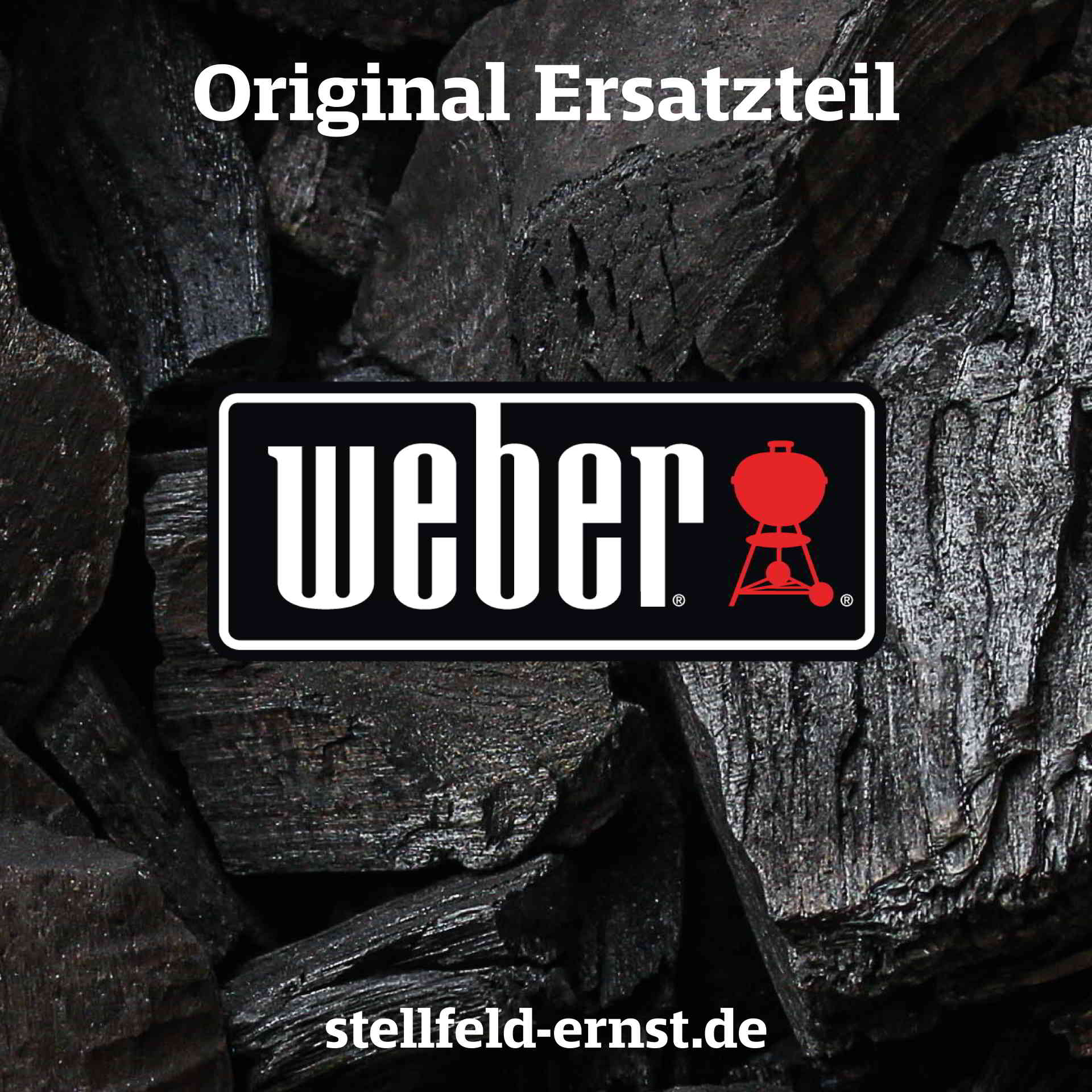 Ersatz Messfühler für Digital Thermometer 809769 & 809782