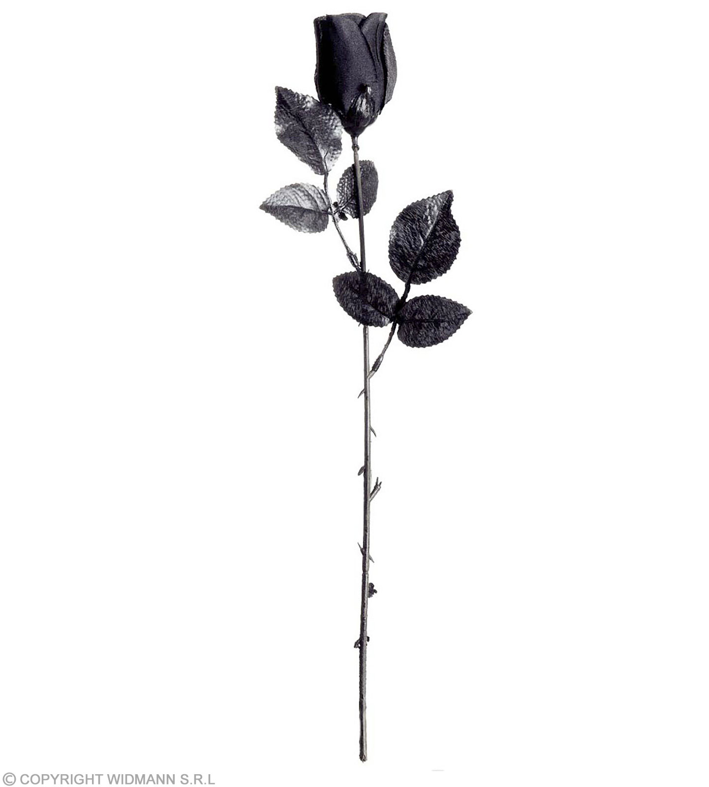 Schwarze Rose 