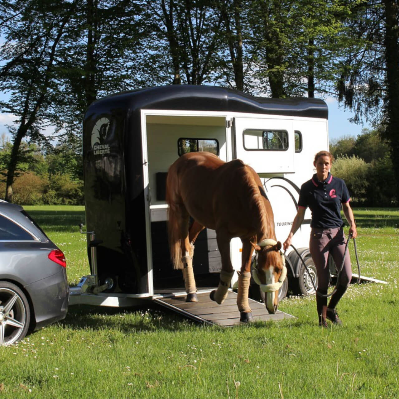 Cheval Liberté Pferdeanhänger Touring One 