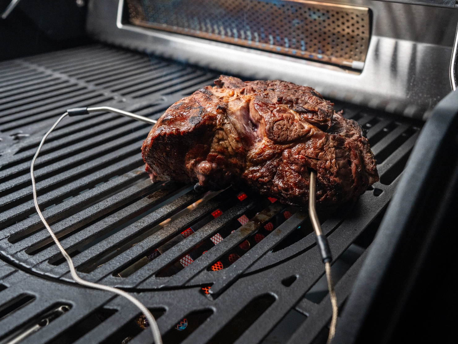 Fühler im Fleisch